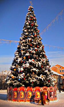 Christmas tree 