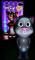 Talking Tom cat toy