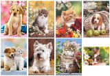Sale of Castorland puzzles 