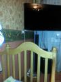 The crib, mattress, canopy 