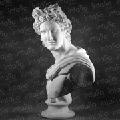 the statue of Apollo Belvedere the statue of Apollo Belvedere