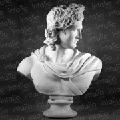the statue of Apollo Belvedere 