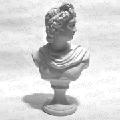 the statue of Apollo Belvedere 