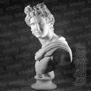 the statue of Apollo Belvedere 