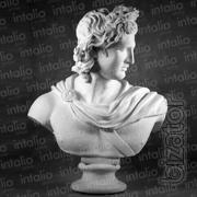 the statue of Apollo Belvedere 