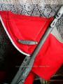 Stroller Peg-Perego Aria 