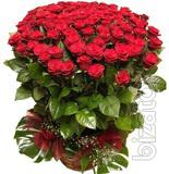 Sale and delivery of bouquets of roses 