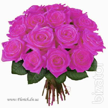 Sale and delivery of bouquets of roses 