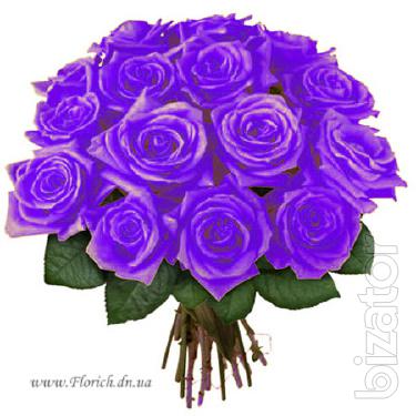 Sale and delivery of bouquets of roses 