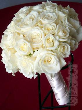 Sale and delivery of bouquets of roses 
