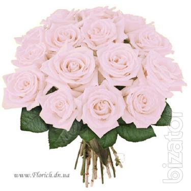 Sale and delivery of bouquets of roses 