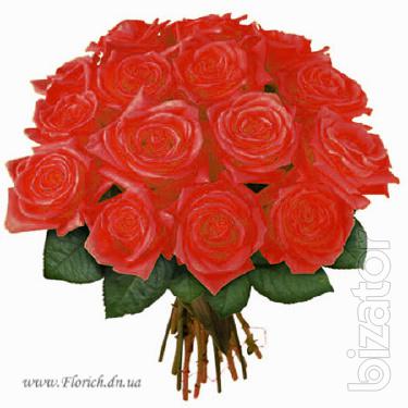 Sale and delivery of bouquets of roses 
