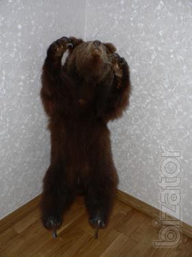 Stuffed bear 