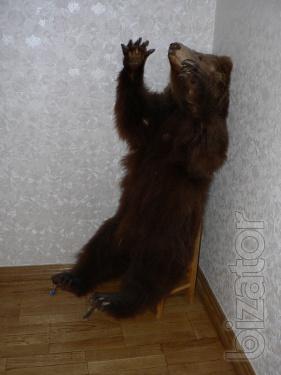 Stuffed bear 