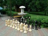 Chess is great, street of wood and plastic. 