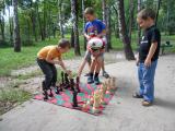 Chess is great, street of wood and plastic. 