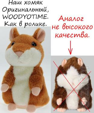 Talking Hamster In stock!The original 