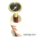 The decorative cane with compass 