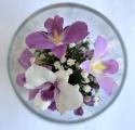Eternal bouquet of delicate orchids alive (RSO/3310) 
