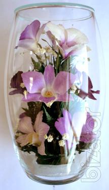 Eternal bouquet of delicate orchids alive (RSO/3310) 