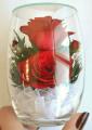 Roses in glass (RmiR/5927)