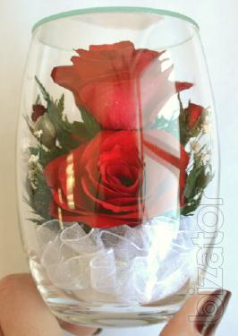 Roses in glass (RmiR/5927) 