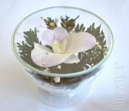 Orchid in glass (CuSO1) 