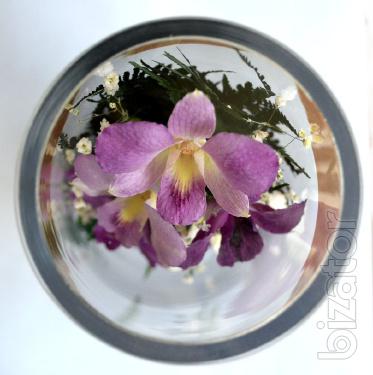 An arrangement of orchids (CLO) 