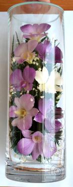 An arrangement of orchids (CLO) 