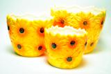 Decorated ceramic pots