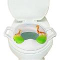 The seat on the toilet bowl with handles