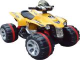 The kids electric ATV JA-JS318