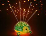 Nightlights Ansmann turtle, ladybug 