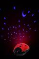 Nightlights Ansmann turtle, ladybug 