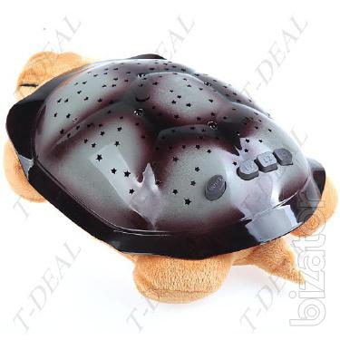 Turtle with music 