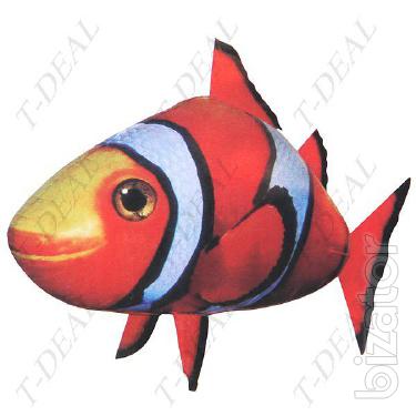 Flying fish 