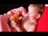 Talking hamster 100% Original 