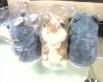 Buy speaking hamster, Dnepropetrovsk