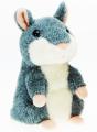 Buy speaking hamster, Dnepropetrovsk 