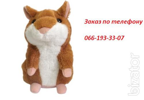 Buy speaking hamster, Dnepropetrovsk 