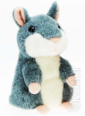 Buy speaking hamster, Dnepropetrovsk 