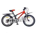 Bike Profi Sport 20" HMM 204