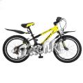 Bike Profi Sport 20" HMM 204 