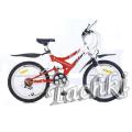 The Profi bike 20" M 2009 A_B_C