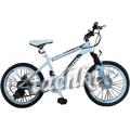 Bike Profi Air Power 20"