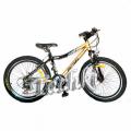 Bike Profi 24" XM 241 