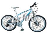 Bicycle sports 24" Profi Trike Expert 