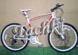 The sports bike 26" Expert