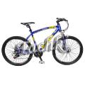 The sports bike 26" Expert 