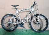 The sports bike 26" Expert 